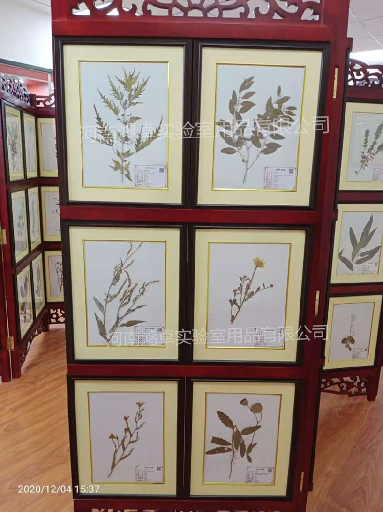 臘葉標(biāo)本